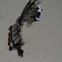 Legging Organizer for Closet 360° Swivel, Metal Yoga Pants Hanger 2 Pack w/10 Clips Holds 20 Leggings, Space Saving Hanger Closet Organizers and Storage, Pants Hangers for Pants, Skirts, Hats (Black)