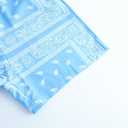 Men's Paisley Print Graphics Shorts Drawstring Waist Casual Boho Tribal Print Summer Shorts with Pockets (Blue, L)