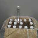 Holotap 16 OZ Empty Plastic Juice Bottles Pack of 30 Clear Disposable Bulk Drink Bottles with White Tamper Evident Caps Lids (16 OZ, White)