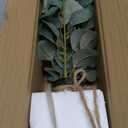 Briful Artificial Eucalyptus Stems in Black Glass Vase with Faux Water, 14" Fake Plant Eucalyptus Leaves for Home Office Farmhouse Wedding Centerpiece Dcor