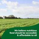 Knorr Rice Side Dish, Creamy Chicken, 5.7 oz (8-Count)