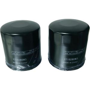 3710280M3 Oil Filter (Pack of 2) Replaces AGCO 3710280M3 Fits Massey Ferguson 1825E Economy Compact Tractor, GC1705 GC1710 GC1715 GC1720 GC1723E GC1725M MF 1520 Compact Tractors