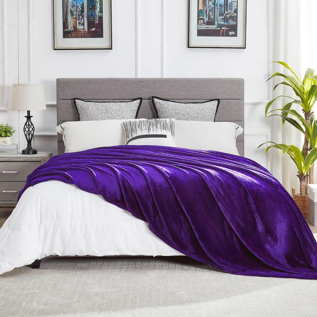 DREAMNINE Oversized Soft Fuzzy Fleece Throw Blanket Twin Size 60" x 80",Decorative Large Solid Lightweight Velvet Bed Blanket,Big Cute Cozy Accent Shaggy Microfiber Flannel Blankets for Bedroom, Purple