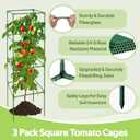 2 x 3 Pack Tomato Cages for Garden - 48" Square Tomato Cage for Pots & Raised Garden Bed - Heavy Duty Tall Tomatoes Trellis Plant Stakes Support for Vertical Climbing Plants Vegetables & Flowers