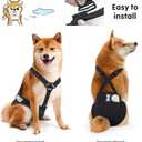 Idepet Female Dog Diapers with Suspender Detachable, 3 Pack Washable Reusable Girl Doggie Diapers for Small Medium Female Dog in Heat Period Cycle Urinary Incontinence Training L