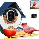Smart Bird Feeder with Camera, AI Identify Bird Feeder Camera with Solar Pannel, Auto Capture Bird Full HD Videos & Instant Notification, Ideal Present for Bird Lovers (Basic, Deep Blue)