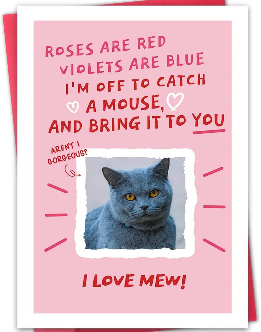3 x Funny Cat Valentines Day Card - Roses Are Red Cat Card for Pet Owners (BT-158)