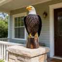 chisheen Bald Eagle Outdoor Metal Yard Art Statue and Sculpture for Garden Lawn Patio Living Room Decoration, 8.66"L x 7.87"W x 20.86"H