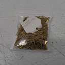 YOUBEIYEE 10pcs Charming Paperclip Necklace Chain Kit Gold Plated Stainless Steel Link Chain Necklace Paper Clip Necklace Bulk (20inch (4x12mm))