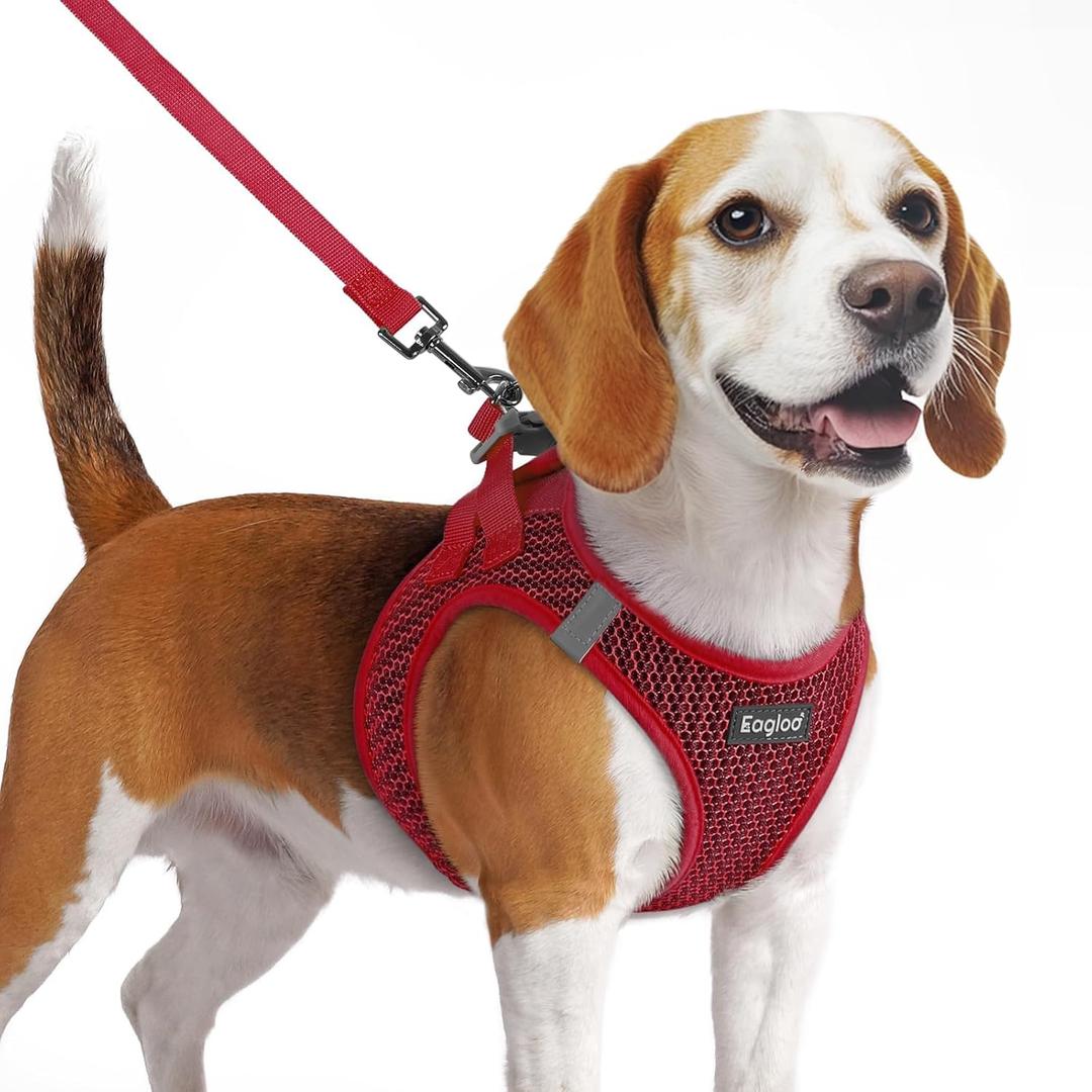 Eagloo Small Dog Harness and Leash Set, Step in Puppy Vest with Breathable Soft Mesh, Walking Reflective Pet Harness for  Dogs, Red, M 