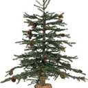 Vickerman 24" Caramel Pine Artificial Christmas Tree Unlit- Featuring 480 PVC Tips - Pine Cone Accented - Seasonal Indoor Home Decor with Decorative Burlap Base (2ft)