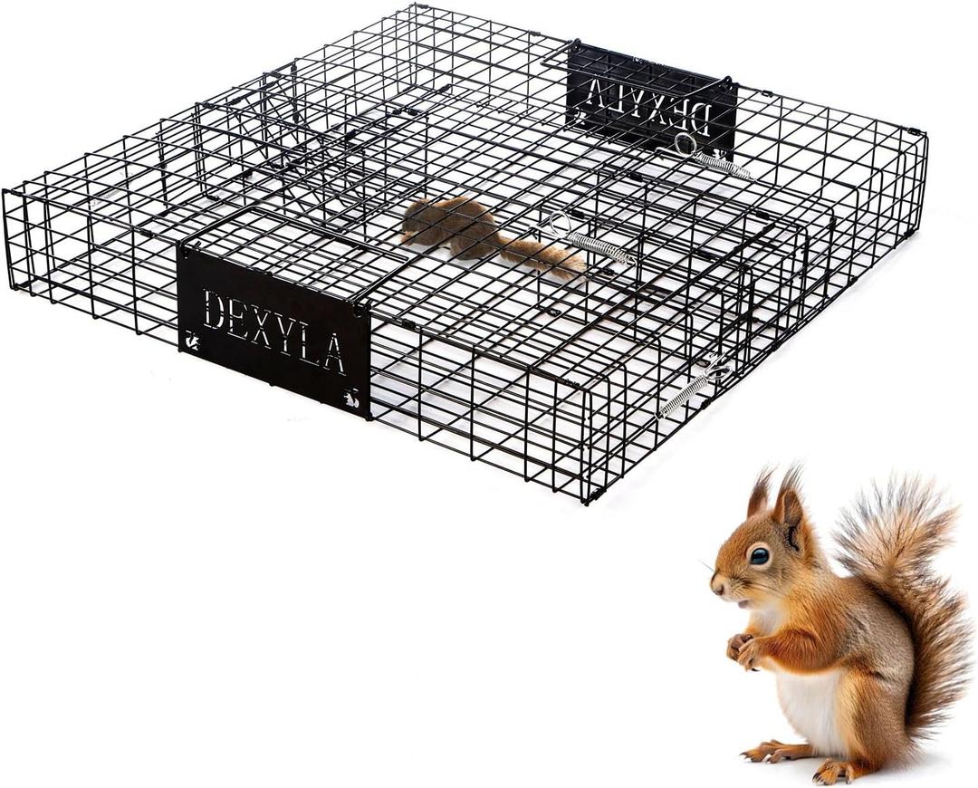 Squirrel Trap,Humane Catch and Release,Can Catch Multiple Squirrels or Chipmunks at Once