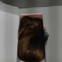 REECHO Ponytail Extension, Drawstring Ponytail Extension Long Wavy Layered Pony Tails Hair Extensions 22inch Natural Fake Ponytail Clip in Synthetic Hairpiece for Women, Copper with Highlights