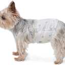 Amazon Basics Super Absorbent Male Dog Diapers, Leak-Proof Disposable Wrap with Wetness Indicator, Secure Fit, Breathable, X-Small, 30 Count