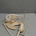 JOYIN Flamingo Skeleton Halloween Decorations 27.6 Inch Tall Spooky Flamingo Posable Animal Skeleton with Movable Joints for Halloween Indoor Outdoor Yard Garden Lawn Patio Prop Decor