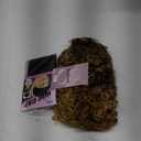 Afro Blonde Curly Wigs for Black Women,Kinky Blonde Wig With Bangs Synthetic Heat Resistant Hair for Daily Use (Brown to Blonde)