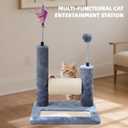ROYPET Multifunctional Cat Scratching Posts for Indoor Kittens,Cat Scratching Pads for Play and Activity,Scratching Posts with Feather Toys and Spring Hanging Balls,Grey