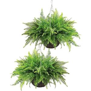 QIANYUN Fake Fern Outdoor Artificial Plants-2-Pack Artificial Outdoor Hanging Fern Faux Greenery UV Resistant Plastic Plants for Front Porch Living Room Garden Decor- Including Hanging Planters