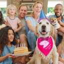 Dog Birthday Party Supplies Set - Happy Birthday Banner, Bandana, Bow Tie, Hairband, Tutu Skirt - Complete Decorations for Your Pup's Celebration(Pink)