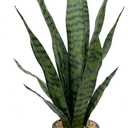 Bird Fiy Artificial Snake Plant 22.5" Faux Agave Fake Sansevieria Artificial Potted Plants for Indoor and Outdoor Home Office Dcor (Green)