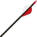 Gold Tip Hunter Arrows with Raptor Vane (Pack of 6) Size 300