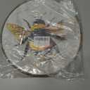 Vintage Bee Round Wall Art Framed, Neutral Moody Cottagecore Bee Round Wall Decor, Nature Insect Hanging Canvas Prints Wall Sculptures for Farmhouse Home Living Room Bedroom Decor, 10x10 Inch