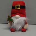 Yomeia Christmas Gnome