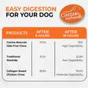 Canine Naturals Chicken Recipe Chew - Rawhide Free Dog Treats - Made From USA Raised Chicken - All-Natural and Easily Digestible - 10 Count of 5 Inch Stick