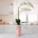 Dolly Parton White Artificial Orchid in Pink Ceramic Pot, 9.8x5.5x24 Inch