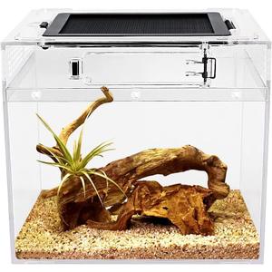 mini Reptile Terrarium,8" x 8"x 8" Reptile Tank with Full View Visually Appealingfor InsectFishTarantulaHermit CrabJumping SpiderIguanaTortoiseLeopard GeckoFrogBearded Dragon (Transparent)