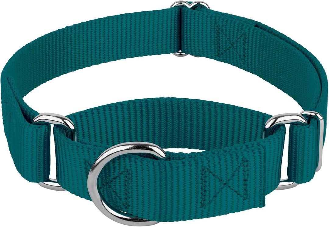 Country Brook Petz Martingale Dog Collar - Heavy-Duty Training Collar with No Buckle - Service Dog Collar for All Pups - Vibrant, Colorful Collection (Teal, 1 Inch, Medium)