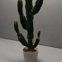 Artificial Cactus 16inch Faux Cacti Fake Succulent Plants for Indoor Outdoor Home Office Garden Decor