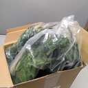 Hananona 50 Pcs Artificial Pine Branches Green Plants Pine Needles DIY Accessories for Garland Wreath Christmas and Home Garden Decor (50, Green)