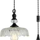 CVKASH Plug in Glass Pendant Light Fixture Black Vintage Adjustable Chandelier Hanging Ceiling Light for Farmhouse Hallway Bedroom Foyer Kitcken Dining Room Island