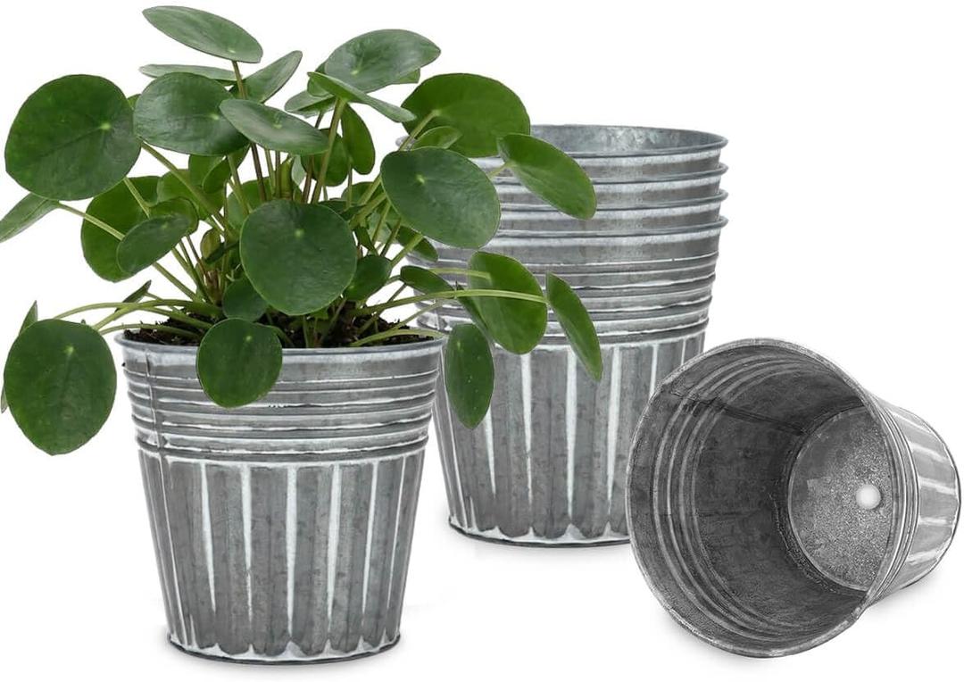 vensovo 5 Inch Galvanized Bucket Planter - 6 Pack Metal Flower Pots with Drainage Holes & Plugs, Rustic Silver Tin Pots for Indoor Herbs, Outdoor Succulents, Farmhouse Home Garden Decor