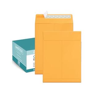 Eupako Catalog Mailing Envelopes 9x12 Brown Envelopes Self Seal 250 Pack for Organizing and Storage