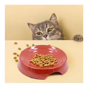 Cat Bowls, Whisker Friendly Cat Food Bowl for Indoor Cats, Reliefs Whisker Fatigue, Wide Pet Bowl, Non Slip Pet Feeding Bowls, Shallow Kitten Dish