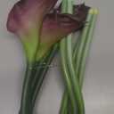 DUYONE Artificial Flowers Calla Lilly 25.6'' Large Fake Bouquet Long Stem Plants 5 Pcs for Home,Living Room,Bedroom,Dining Table,Office,Weddings Party Garden Dcor(Purple)