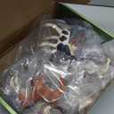 10PCS Horse Figurine Set Realistic Horse Figure Toys for Toddlers Educational Gift for Kids Perfect Party Favors Animal Figure Learnig Toys