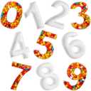 CroBlissful 0-9 Ceramic Number Dish Sets 5.5 Inch White Decorative Number Trays for Food Charcuterie Serving Tray for Birthday Party Table Decor