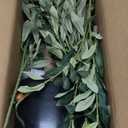 Olive Tree, 6FT Tall Faux Olive Tree with Moss and Planter, Olive Trees Artificial Indoor with Realistic Wood Trunk and Lifelike Fruits, Fake Tree for Home Office Living Room Decor