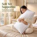 Luxury Goose Down Pillows Set of 2, Standard Size Hotel Quality Feather Pillows for Sleeping, Soft Breathable Cotton Sateen Cover, Premium Bed Pillows for Side Back Stomach Sleepers, Standard（Pack of 2）