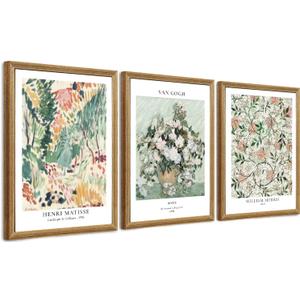 Fantasy Artists Framed Colorful Wall Art Set of 3 Impressionism Henri Matisse Van Gogh William Morris Flower Botanical Abstract Artwork Prints for Living Room Bedroom Bathroom 12" x 16"