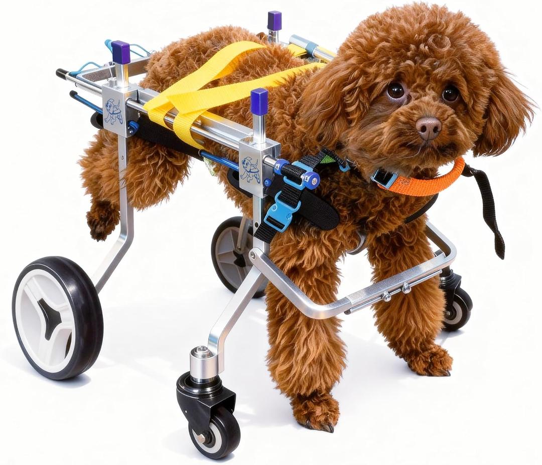 Four-Wheeled Adjustable Dog Wheelchair, Lightweight Mobility Bicycle Trailer for Disabled Pets, Easy to Assemble, Supports Walking And Exercise (XS)