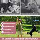 Flirt Pole for Dogs Heavy Duty - Multi-Sensory Tough Chase Toy for Medium & Large Breeds Extra Strong 35" Dog Teaser Wand for Backyard Play, Training and Interactive Fun (Raccoon)
