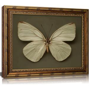 Vintage Gold Framed Butterfly Canvas Wall Art Sage Green Moth Painting Picture Wall Decor Retro Insect Poster Print Artwork for Living Room Bedroom Farmhouse Office Home Decoration, 24"L x 16"W