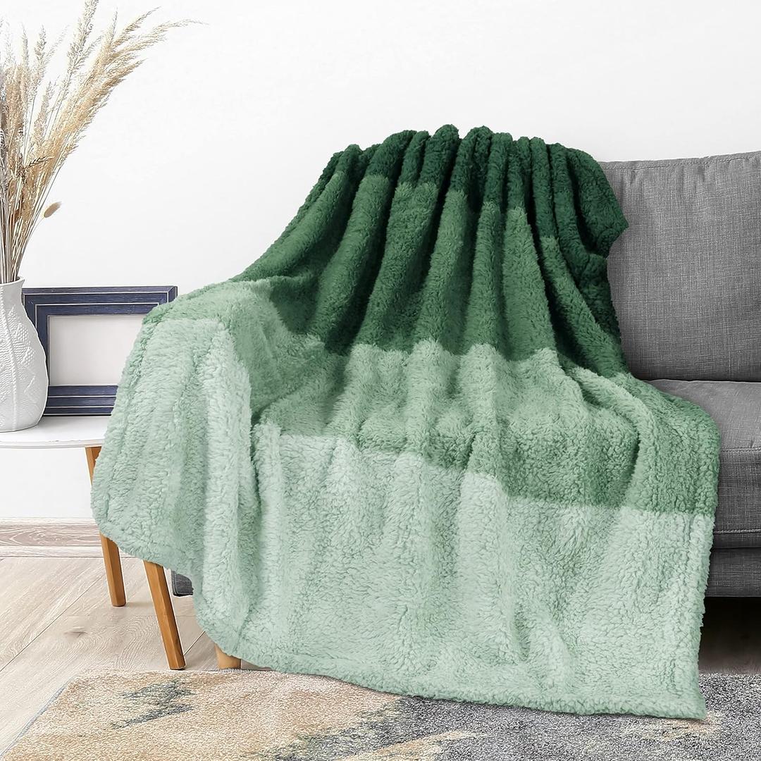 PAVILIA Fluffy Sherpa Throw Blanket Ombre | Gradient Plush, Soft, Fuzzy, Decorative Accent Throw Blanket for Couch Sofa Bed | Cozy Warm Decorative Furry Faux Fur Blanket, 50x60 Inches Green