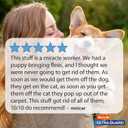 Hartz UltraGuard Plus Flea & Tick Home Spray, Kills Fleas and Ticks, Clean Fresh Scent, 16 Ounce