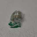 HUIHUANG Champagne Sheer Wired Ribbon with Satin Stripe 2.5 inch Champagne Christmas Tree Ribbon for Bows Making, Wreaths, Garland, Gift Wrapping, Bridal Shower Wedding Decor-Continuous 10 Yards