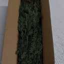 Watayo 45 Pcs Christmas Artificial Pine Branches with Red Berry Stems, 10.5" Faux Evergreen Norfolk Pine Cypress Leaves Stems, Fake Foliage Pine Needles Picks for DIY Craft Garland Home Decor